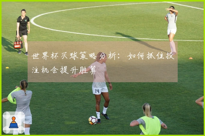 世界杯买球策略分析：如何抓住投注机会提升胜算