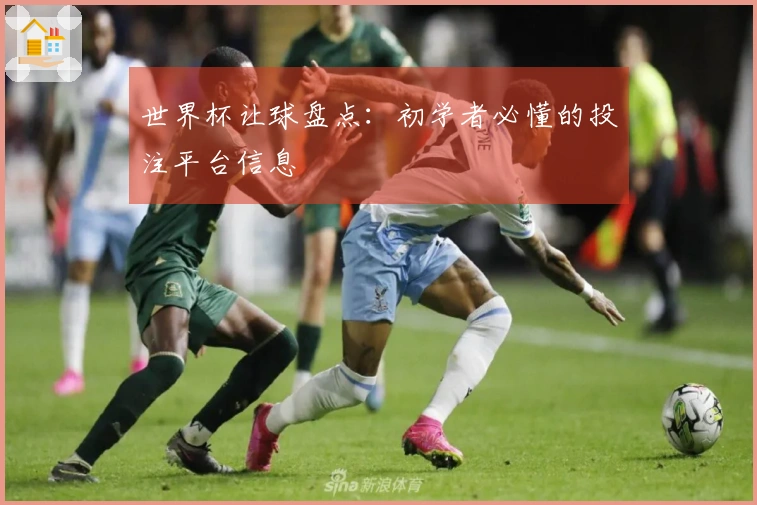 世界杯让球盘点：初学者必懂的投注平台信息