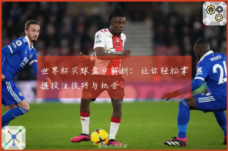 世界杯买球盘口解析：让你轻松掌握投注技巧与机会