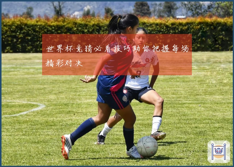 世界杯竞猜必看技巧助你把握每场精彩对决