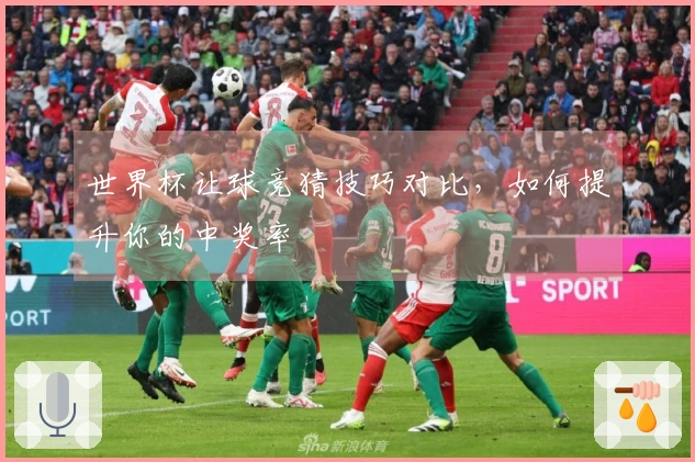 世界杯让球竞猜技巧对比，如何提升你的中奖率